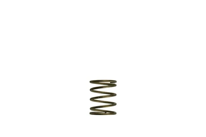 Turbosmart GenV WG45/50 Orange Inner Spring [TS-0550-3085]