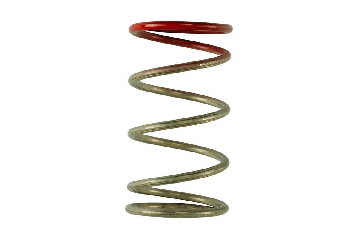 Turbosmart GenV IWG Spring [TS-0600-2009]