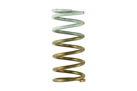 Turbosmart GenV IWG Spring [TS-0600-2007]