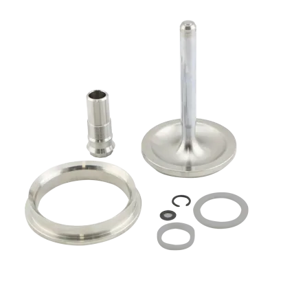 Turbosmart GenV WG60 Valve & Guide Set [TS-0555-3002]
