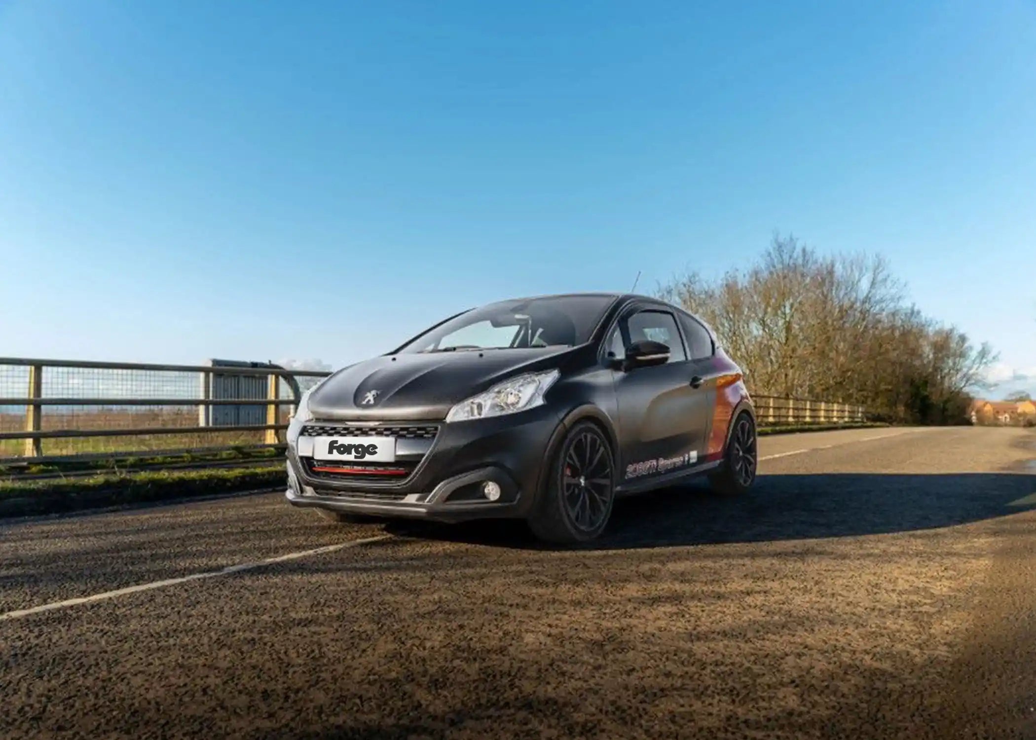 ECU Performance Software Peugeot 208 GTI/Citroen DS3 performance