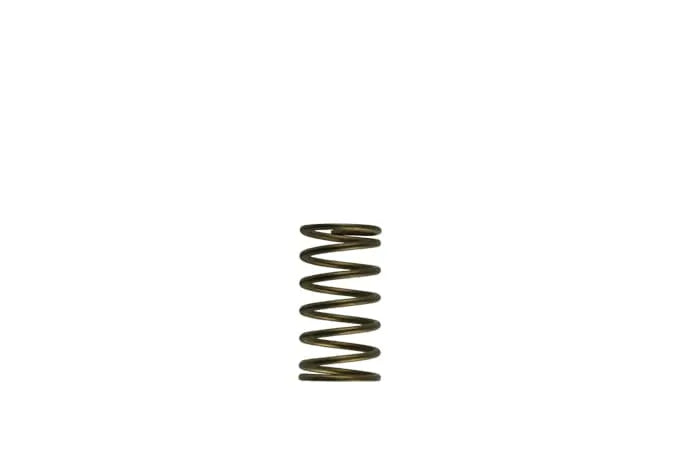 Turbosmart GenV WG60 Inner Spring [TS-0550-3089]