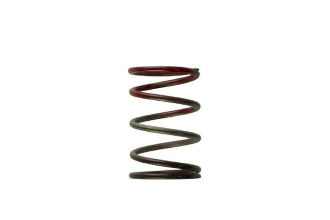 Turbosmart Gen4 / IWG WG38/40/45/50L MIDDLE SPRING - BROWN [TS-0505-2004]