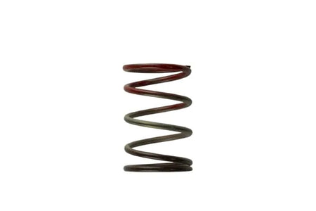 Turbosmart Gen4 / IWG WG38/40/45/50L MIDDLE SPRING - BROWN [TS-0505-2004]