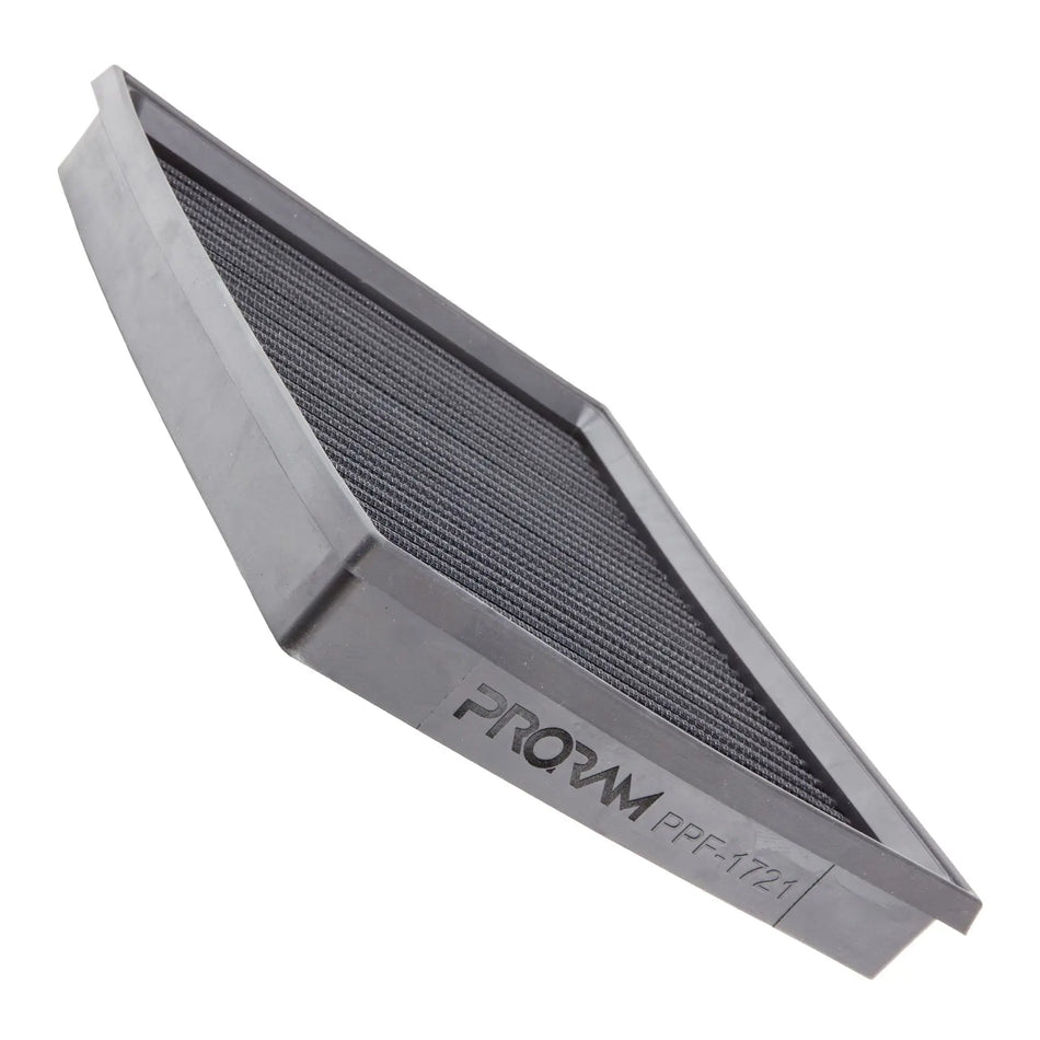 PRORAM PPF-1721 - Audi Replacement Pleated Air Filter