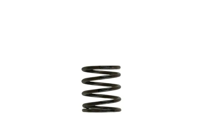 Turbosmart Gen4 / IWG WG38/40/45/50L INNER SPRING - BROWN [TS-0505-2001]