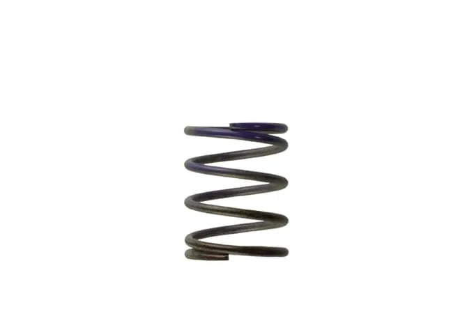 Turbosmart Gen4 / IWG WG38/40/45/50L MIDDLE SPRING - BROWN [TS-0505-2003]