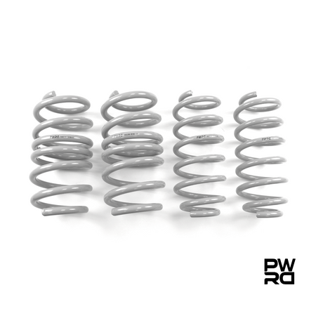 Tesla Model 3 & Model Y Lowering Springs