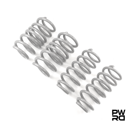 Tesla Model 3 & Model Y Lowering Springs