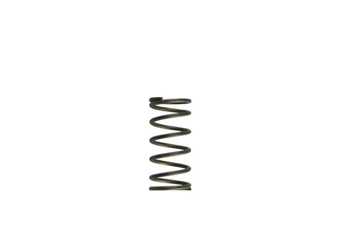 Turbosmart GenV WG60 Purple Inner Spring [TS-0550-3090]