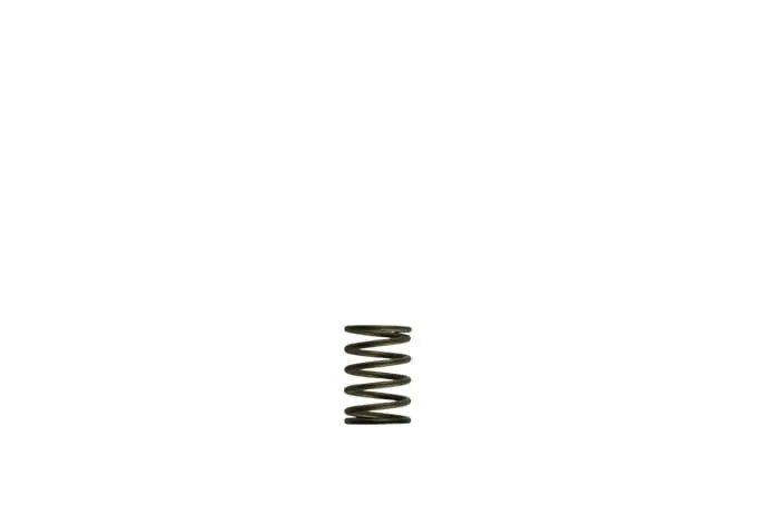 Turbosmart GenV WG38/40 Black Inner Spring [TS-0550-3081]
