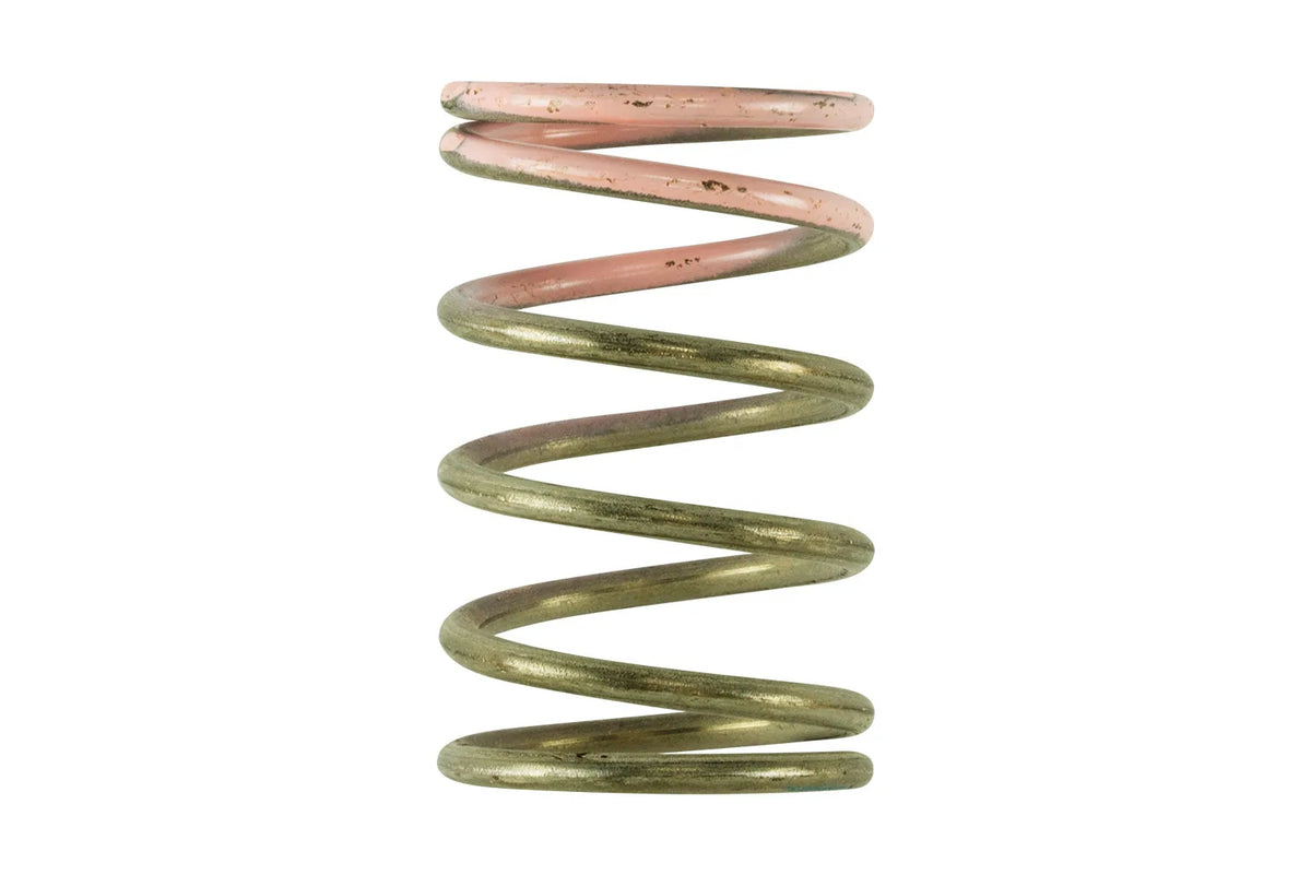Turbosmart GenV IWG Spring [TS-0600-2008]