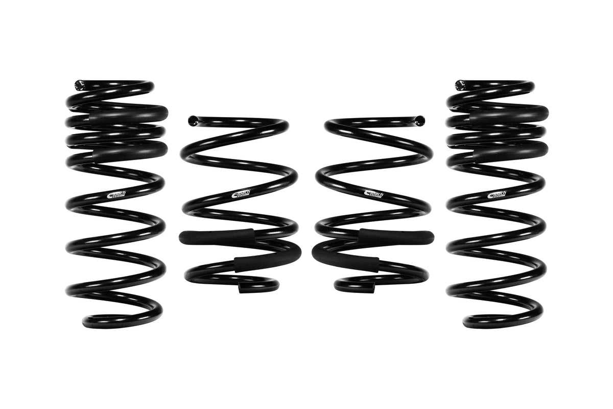 Eibach E10-201-006-02-22