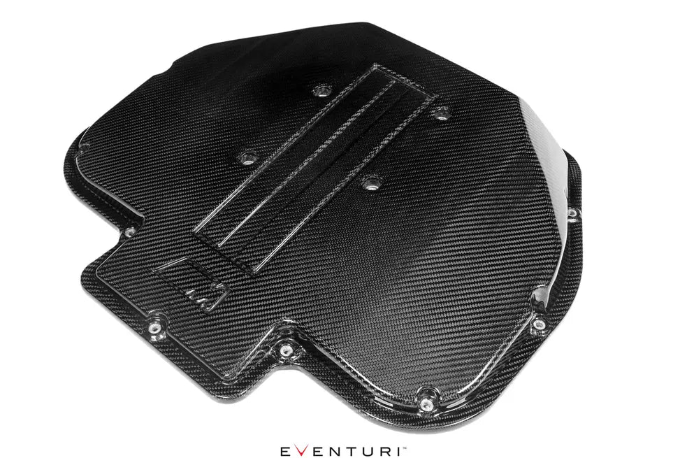 Eventuri BMW S62 V8 Carbon Plenum Lid for E39 M5 and Z8